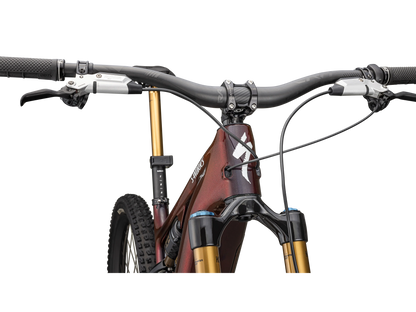 S-Works Turbo Levo 4