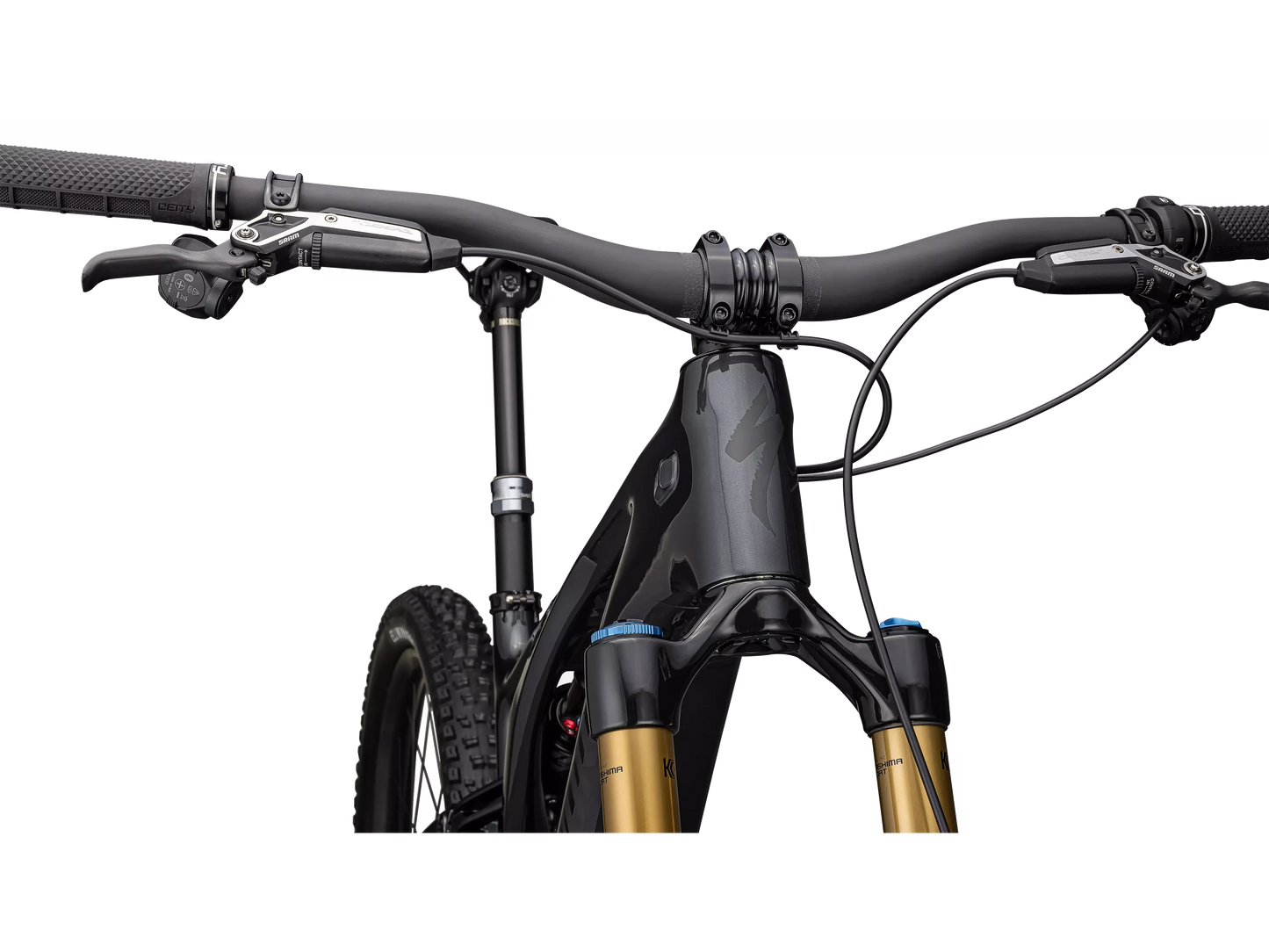 S-Works Turbo Levo T-Type