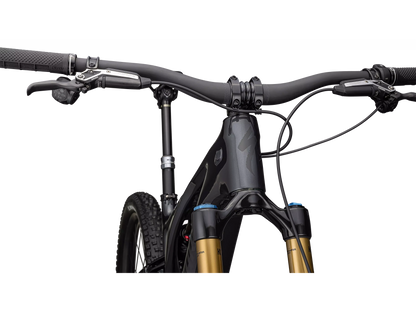 S-Works Turbo Levo T-Type