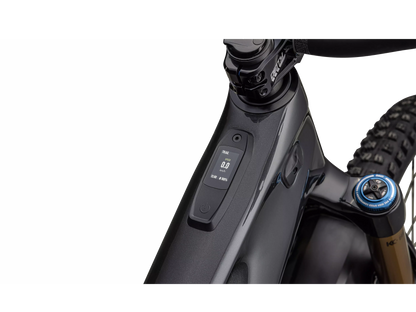 S-Works Turbo Levo T-Type